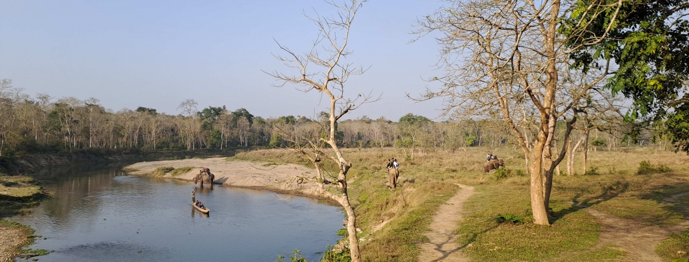 Tiger tracking in Chitwan National Park