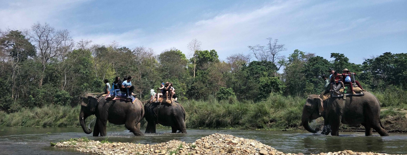 Wildlife tour in Nepal