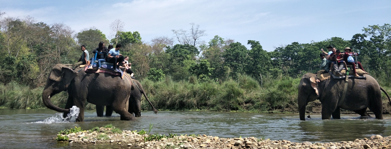 Chitwan wildlife tour