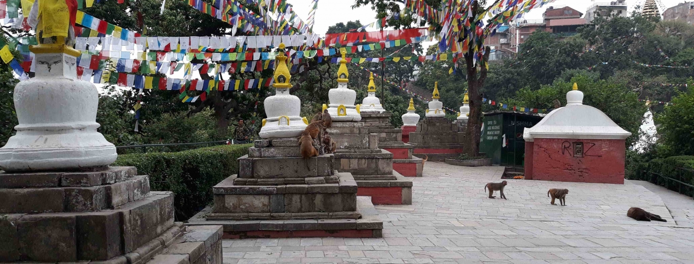 Nepal Best Tour Packages